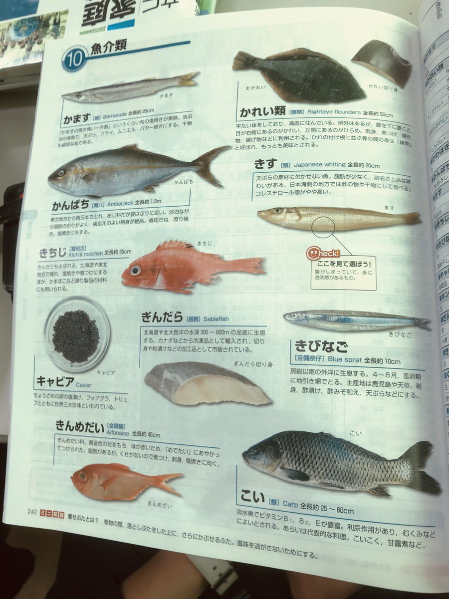 とある教材の魚のページに載っている銀だらの様子が切なすぎるし解せないしもう 何故こうなった 笑 Togetter