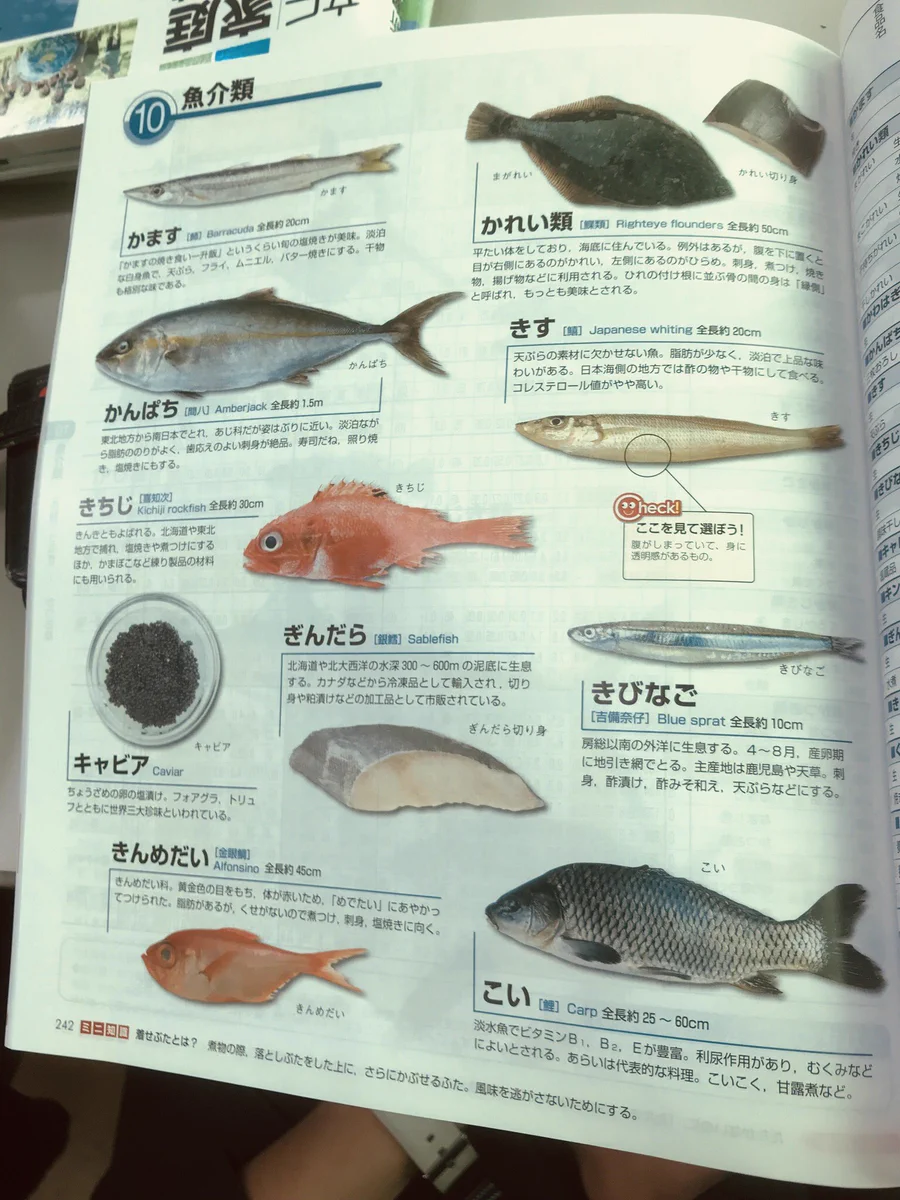 魚の図鑑にぎんだらだけが切り身で紹介されてて草ww扱いが雑すぎるww
