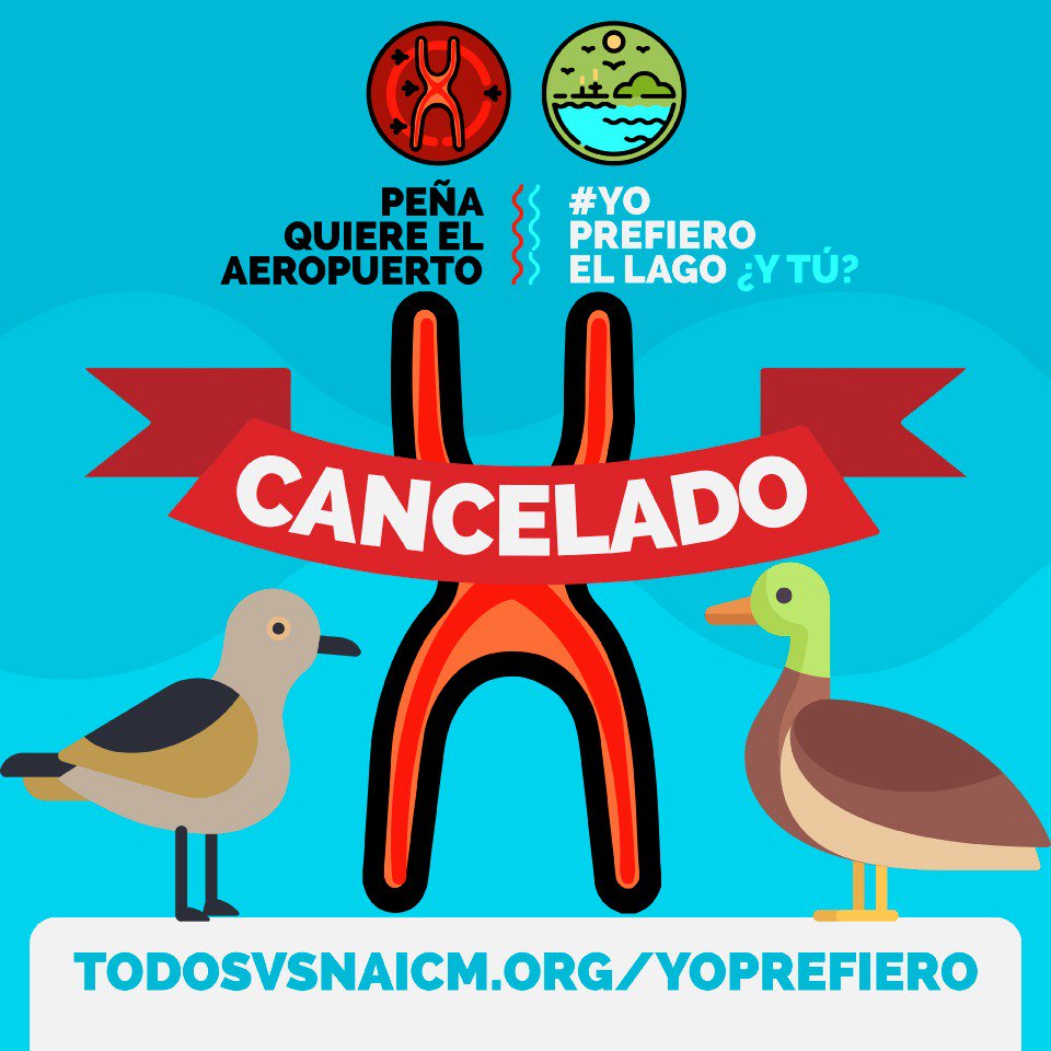 Esta es un logro de los pueblos en lucha!! <a href="/AtencoFPDT/">Atenco FPDT</a> <a href="/todosvsNAICM/">#YoPrefieroElLago Rescatando el lago de Texcoco</a> 17 años de resistencia y de defensa del territorio.
🙋🏻‍♂️🙋🏽‍♂️🙋🏼‍♀️🙋🏾‍♀️🙋‍♀️🙋‍♂️💪🏼👊🏼 #YoPrefieroElLago #LagoGanó