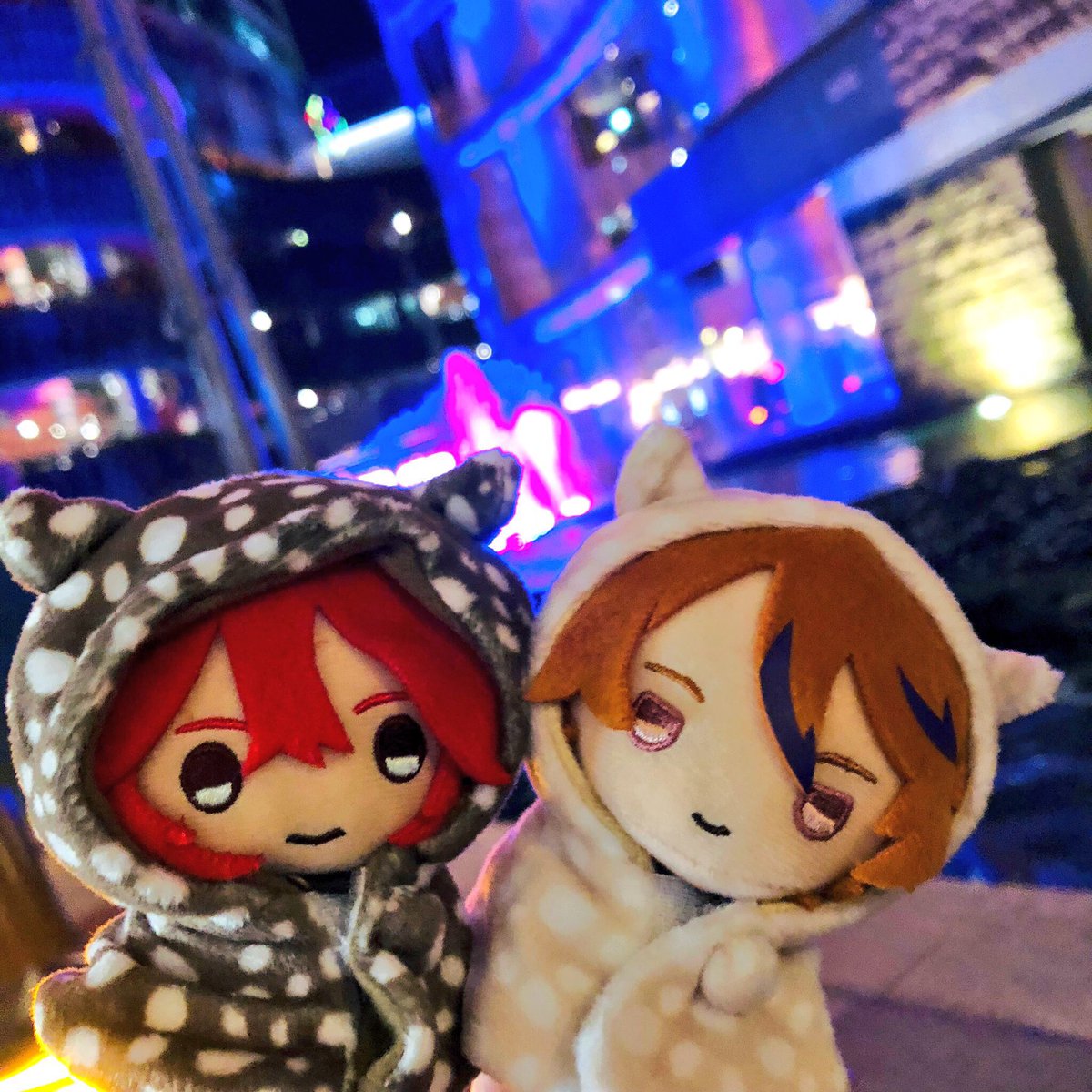 I_ce__01's tweet photo. 深夜のキャナルぬい撮りロケーションにさいこ〜だった🙆‍♀️🙆‍♀️🙆‍♀️ https://t.co/bSDRiFvhLG