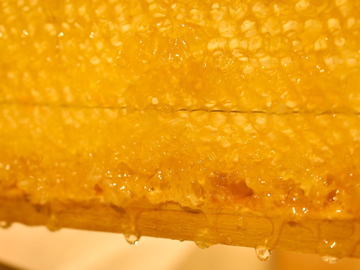 ホテルユニバーサルポートヴィータ Twitter ನಲ ಲ ユニバーサルポートヴィータ のレストランでは 蜂の巣が丸ごとディスプレイされ滴り落ちる蜂蜜をすくって思い思いの食べ方が出来ます コームハニー 蜂蜜 バイキング パンケーキ ユニバーサルスタジオ