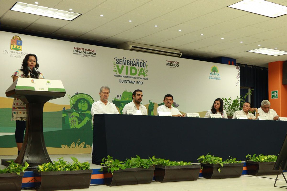 María Luisa Albores González tweet media