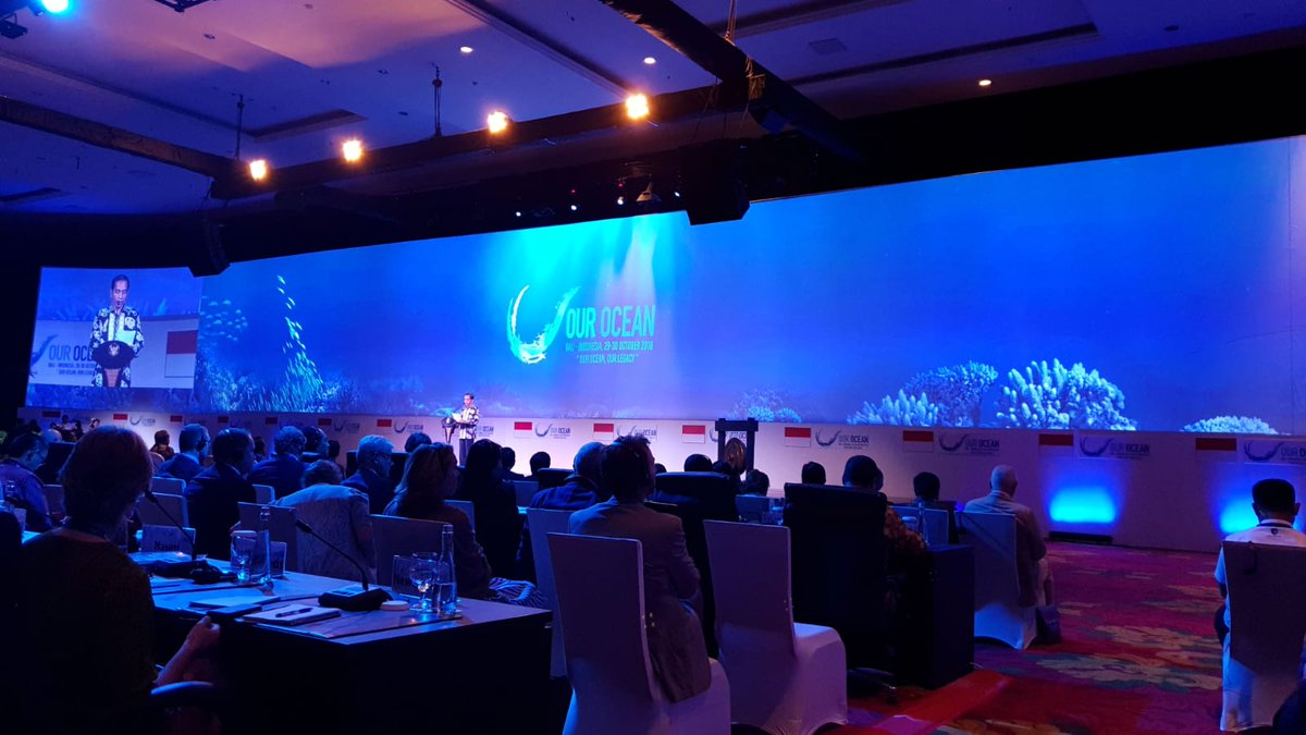 Participating at our ocean conference in Bali, Indonesia.

#salinefarming #OurOcean2018 #climatechange #bali