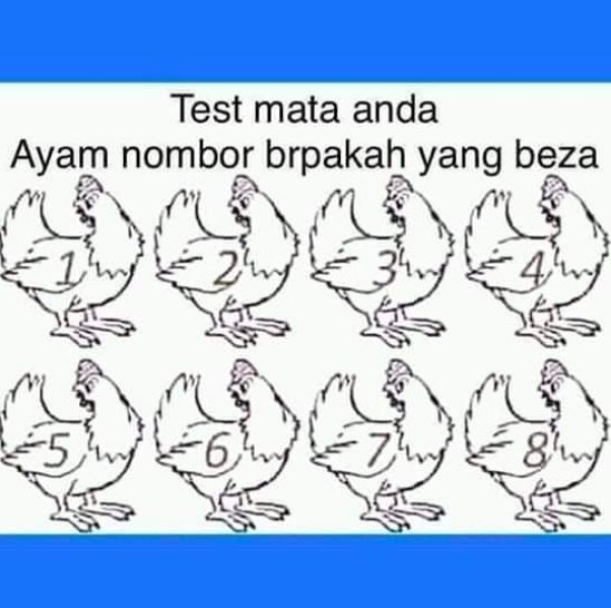 ERAdotje's tweet photo. Korang dah mengantuk ke ? Cuba try test jap ayam mana yang berbeza ? hehe
#SharERA https://t.co/70NSEEuK24