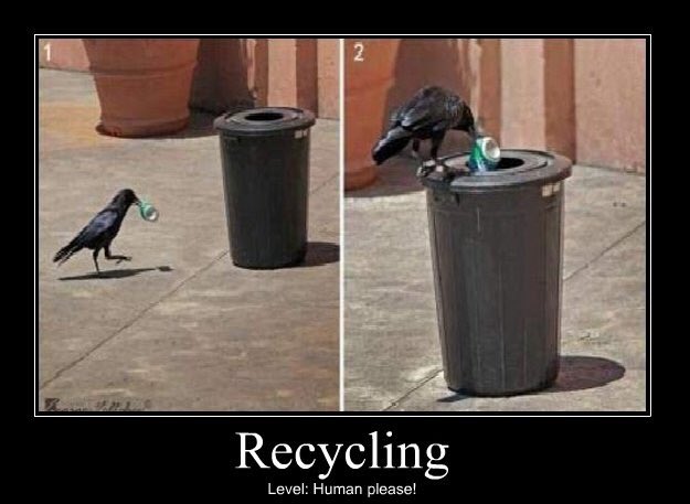 Rolling out of Monday like.....😏. We hope you've had a great start to your week. #mondayhumor #mondaymotivation #recycling #replanet #everybottlecounts #itpaystorecycle #dogood #funnyanimals #recyclingmemes #savetheearth #ecofriendly #mondays