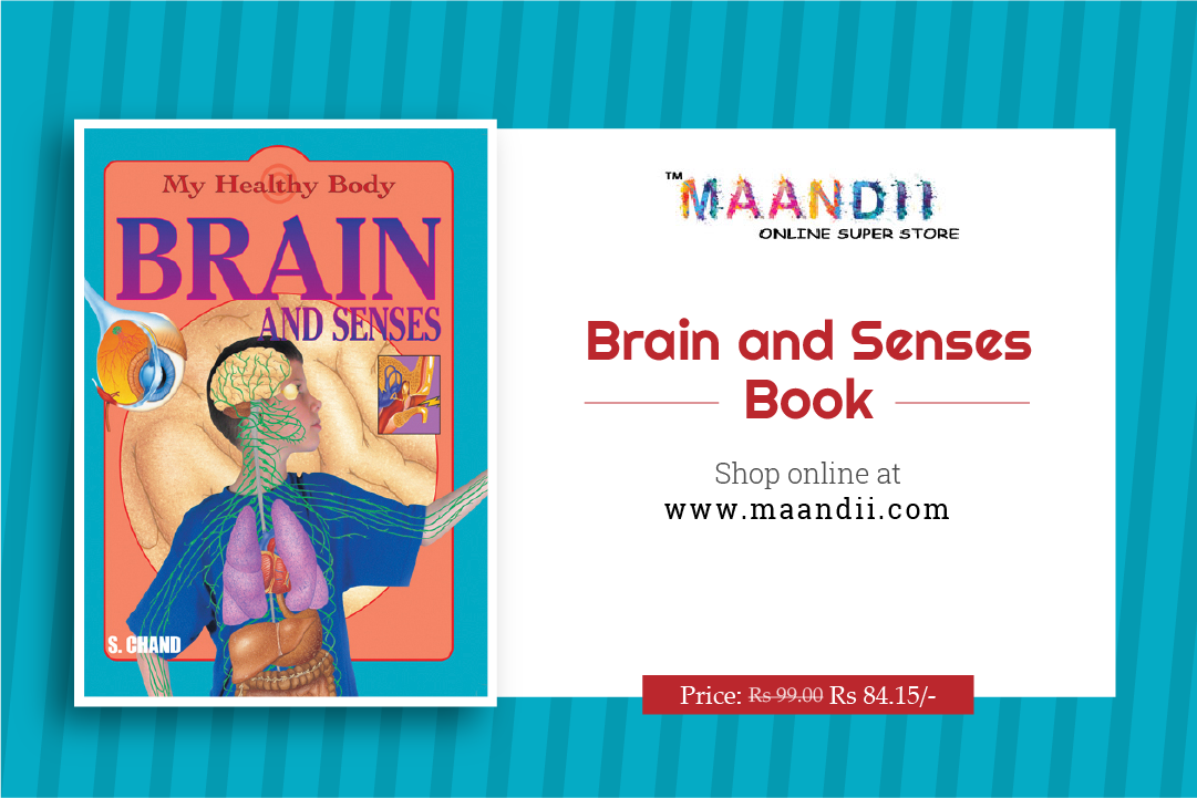 Maandii2016's tweet photo. Brain and Senses Book for kids learning.
 Shop here: https://t.co/1NPp7Jeu1N
#Books #shopping #BooksOnline #Kids #Learning https://t.co/2d91N879Ta