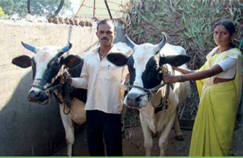 BAIF Development Research Foundation tweet media