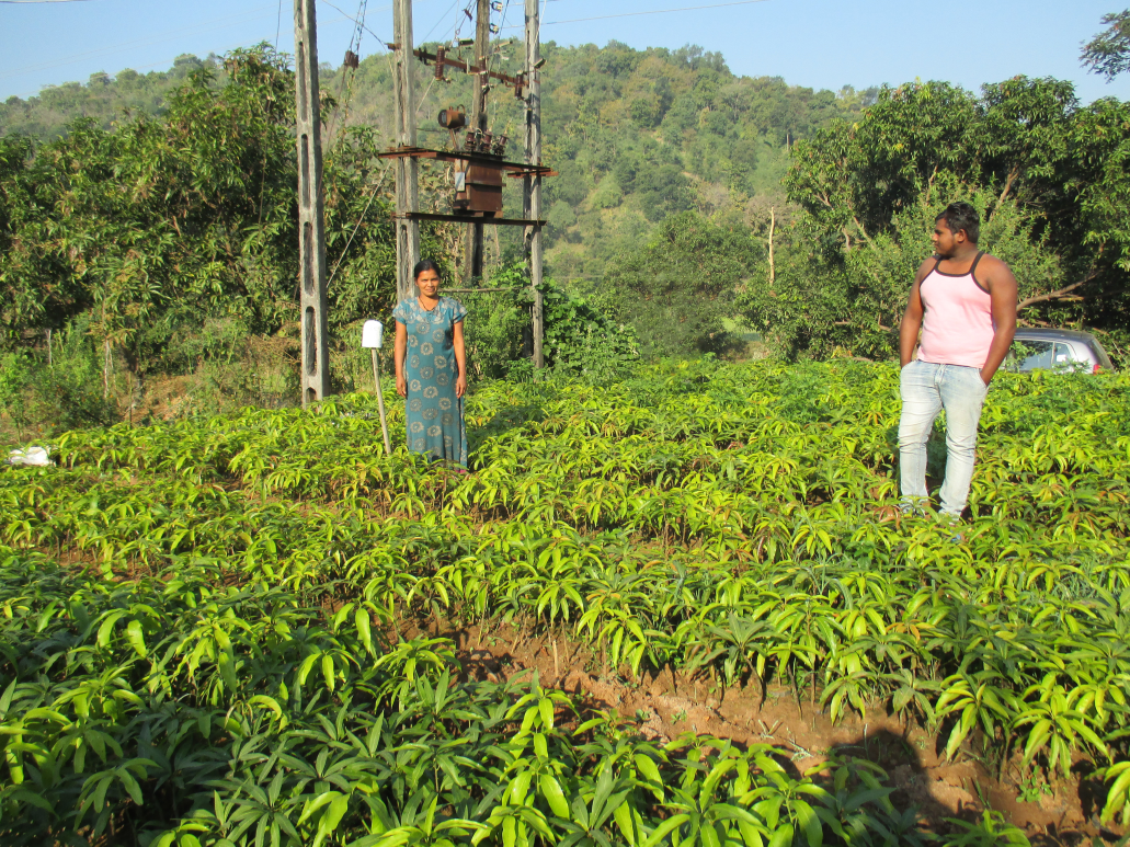 BAIF Development Research Foundation tweet media