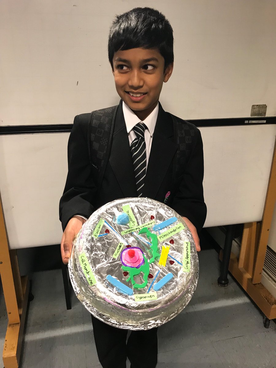 RajinderLiptro1's tweet image. Some great Science cells homework projects !
Well done Milly and Alavi!
#cells #sciencehomework #STEM