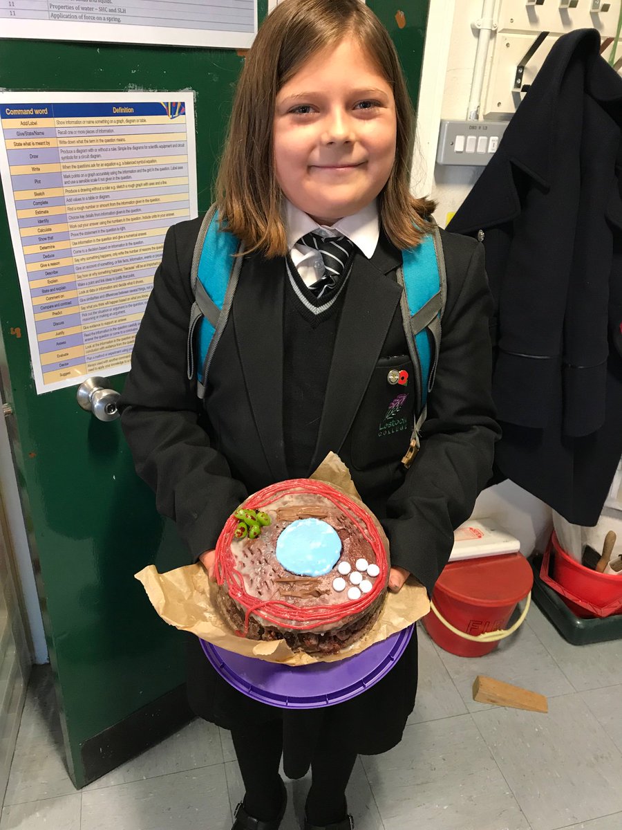 RajinderLiptro1's tweet image. Some great Science cells homework projects !
Well done Milly and Alavi!
#cells #sciencehomework #STEM