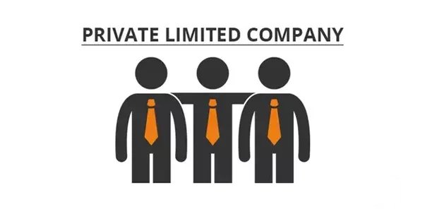 Limited компани примеры. Private limited company. Limit company. фокус группа картинка. Ltd company.