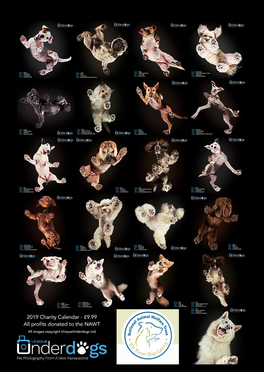 UniqueUnderdogs's tweet photo. Pre order your 2019 charity calendar now for just £9.99 at https://t.co/aI9HMlzn56 #doglovers https://t.co/YBXTY74NIs
