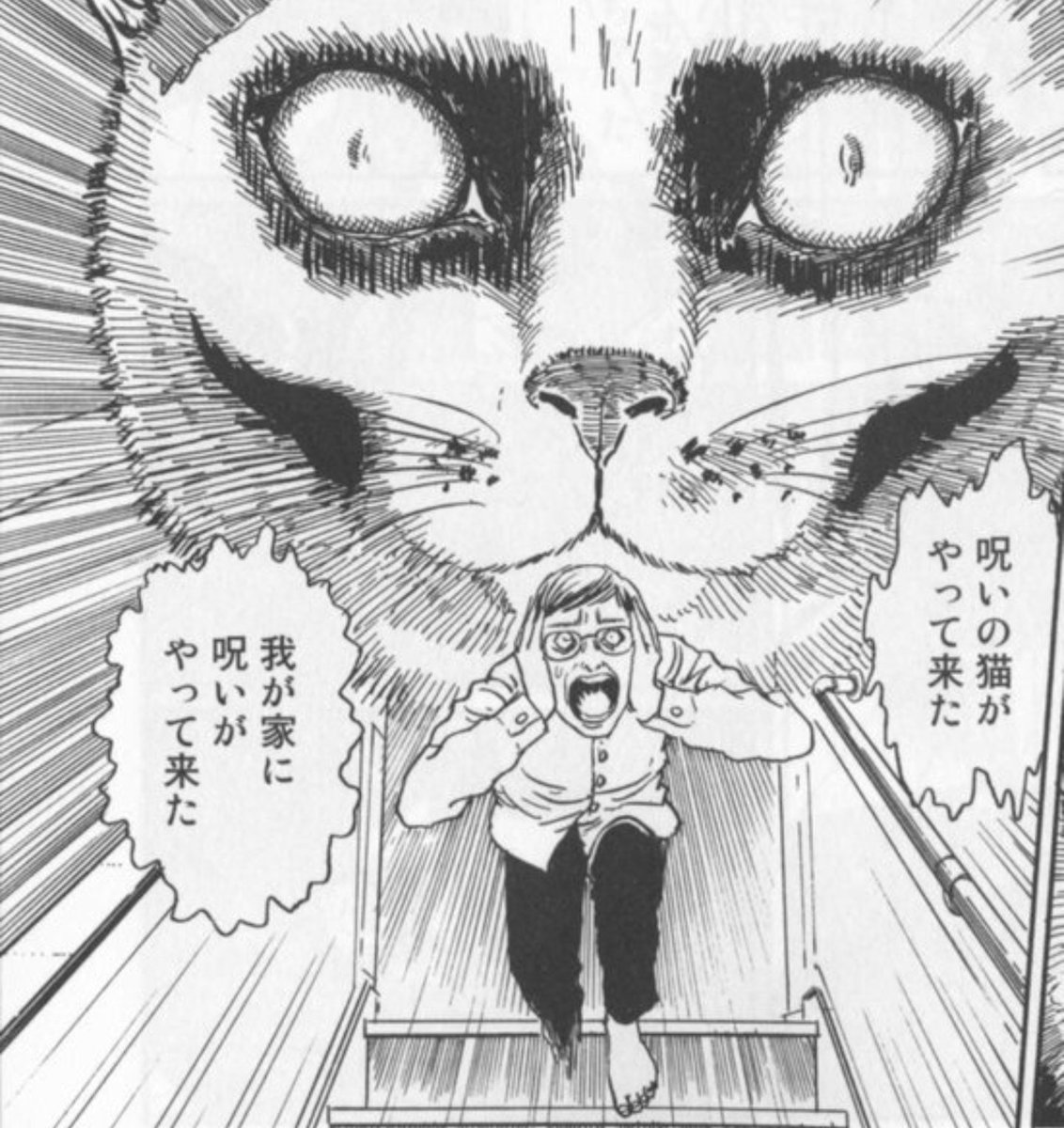 ボルタック 伊藤潤二の猫日記 W ボルタック 伊藤潤二の猫日記 W