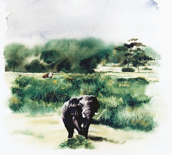 Stock_Artworks's tweet photo. A selection of exciting new images from Katharine Asher, see more of her work here. https://t.co/V6aYsYhj19
#illustrate #illustration #illustrator #illustrationoftheday #watercolor #elephant #landscape #coupledancing #ballroomdancing #womanwithlonghair #portrait https://t.co/S4qYFN3IJx