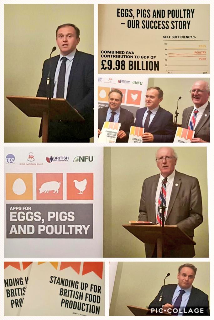 britishpoultry's tweet photo. We heard some excellent messages of support from @MPGeorgeEustice @JimShannonMP @neil_parish &amp; launched a joint report on 'Standing up for British Food Standards' at the APPG for Eggs, Pigs &amp; Poultry Reception last week #BritishFoodValues #BritishFoodSecurity @NatPigAssoc https://t.co/7IKc9h1BBg