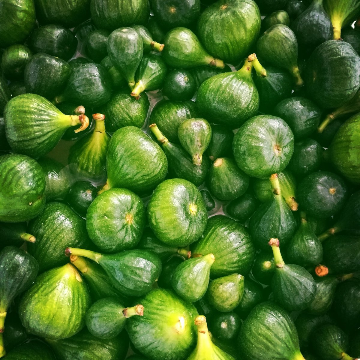 Getting our green figs ready for the Picnic Cheese Platrers. Say cheeeeese! #homemade #greenfig #picnic #cheese #cheeseplatter