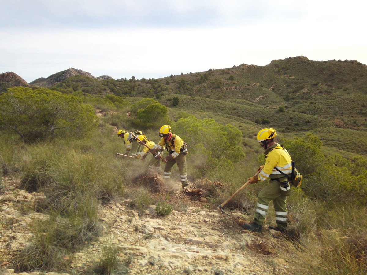 defensaforeMUR's tweet photo. 📷#BRIFOR #Blanca durante una sesión de #Adiestamiento realizando protocolos de #Marcha con #EPI de #Extincion y construcción de #LineadeDefensa en la sierra de #LaNavela
#Udif #Entrenamiento @MurciaForestal https://t.co/gCLyGvlk4P