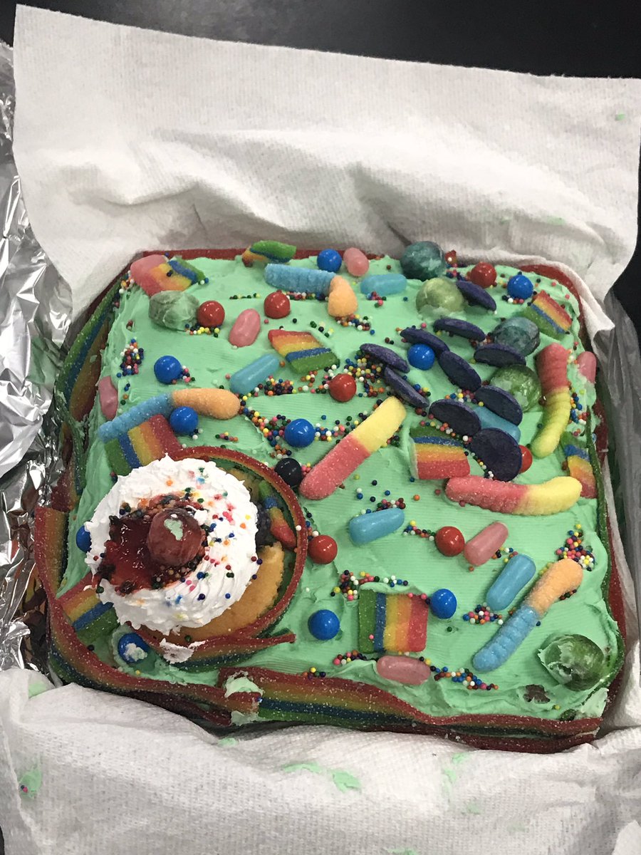 GMS_TAG's tweet photo. Cell models @daria_valentine @Effectivelyme https://t.co/Xf2vGQJv7u