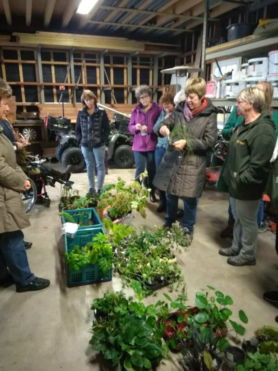 GroeiBloeiGouda's tweet photo. Een terugblik op de najaarsruilbeurs van afgelopen zaterdag, 27 oktober. Veel tuinplanten en zaden wisselden van eigenaar, en dit keer ook een aantal kamerplanten zoals de populaire pannenkoekplant. 
In het voorjaar is er weer een ruilbeurs! https://t.co/F2vH6VZzjn