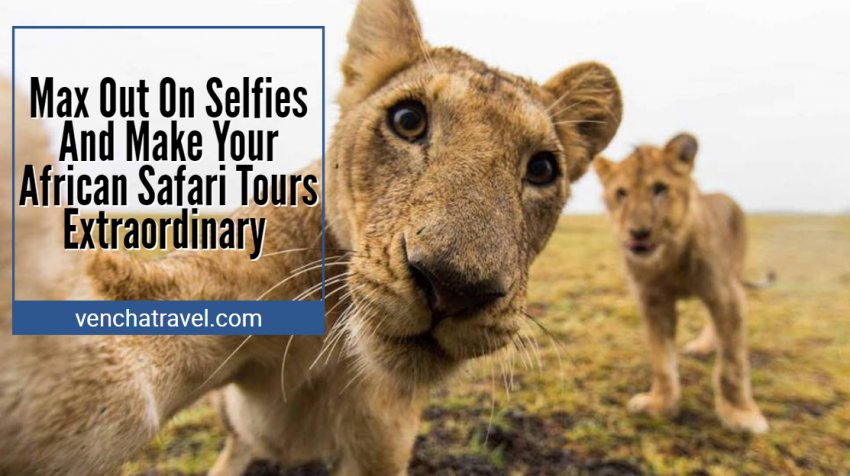Max Out On Selfies And Make Your #AfricanSafariTours Extraordinary With #VenchaTravel
 venchatravel.com/blog/max-out-o…