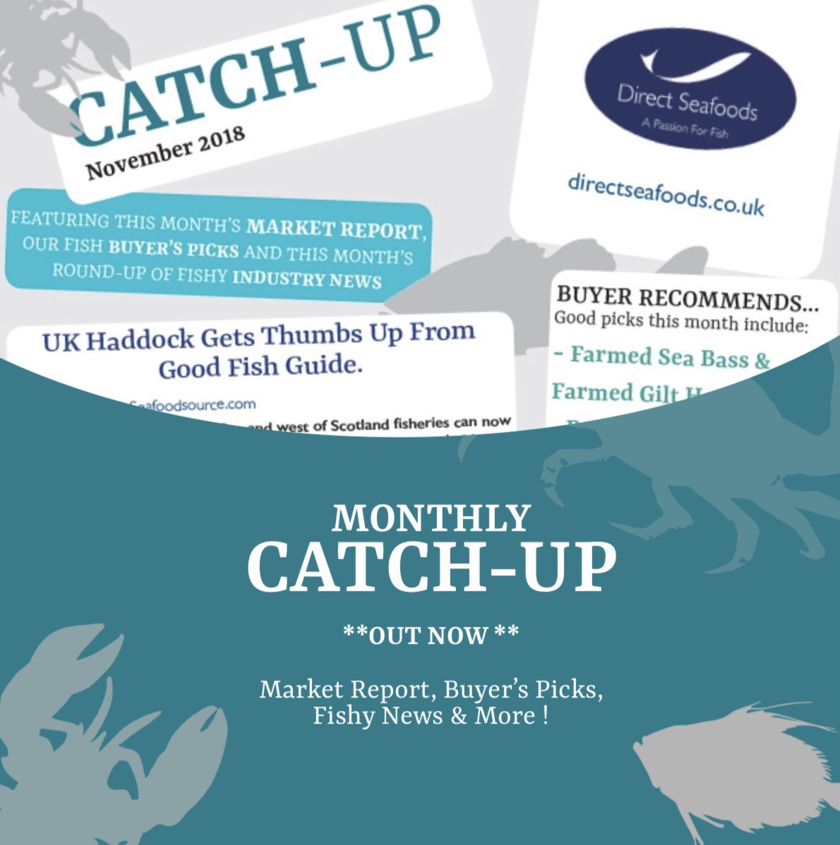 Direct_Seafoods's tweet photo. November’s Catch Up’s available now from your local team 🐟 #fishnews #fishknowledge #cheflife #fish #fishing https://t.co/mEjU8qa0v4