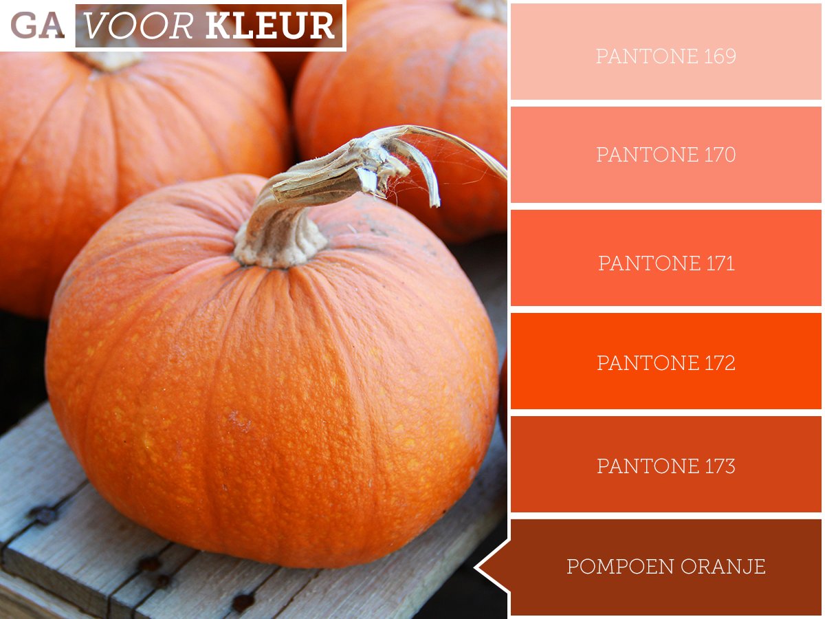 #Halloween komt er weer aan! De #pompoen mag dan natuurlijk niet vergeten worden. Heb jij al een pompoen uitgesneden voor Halloween? #gavoorkleur