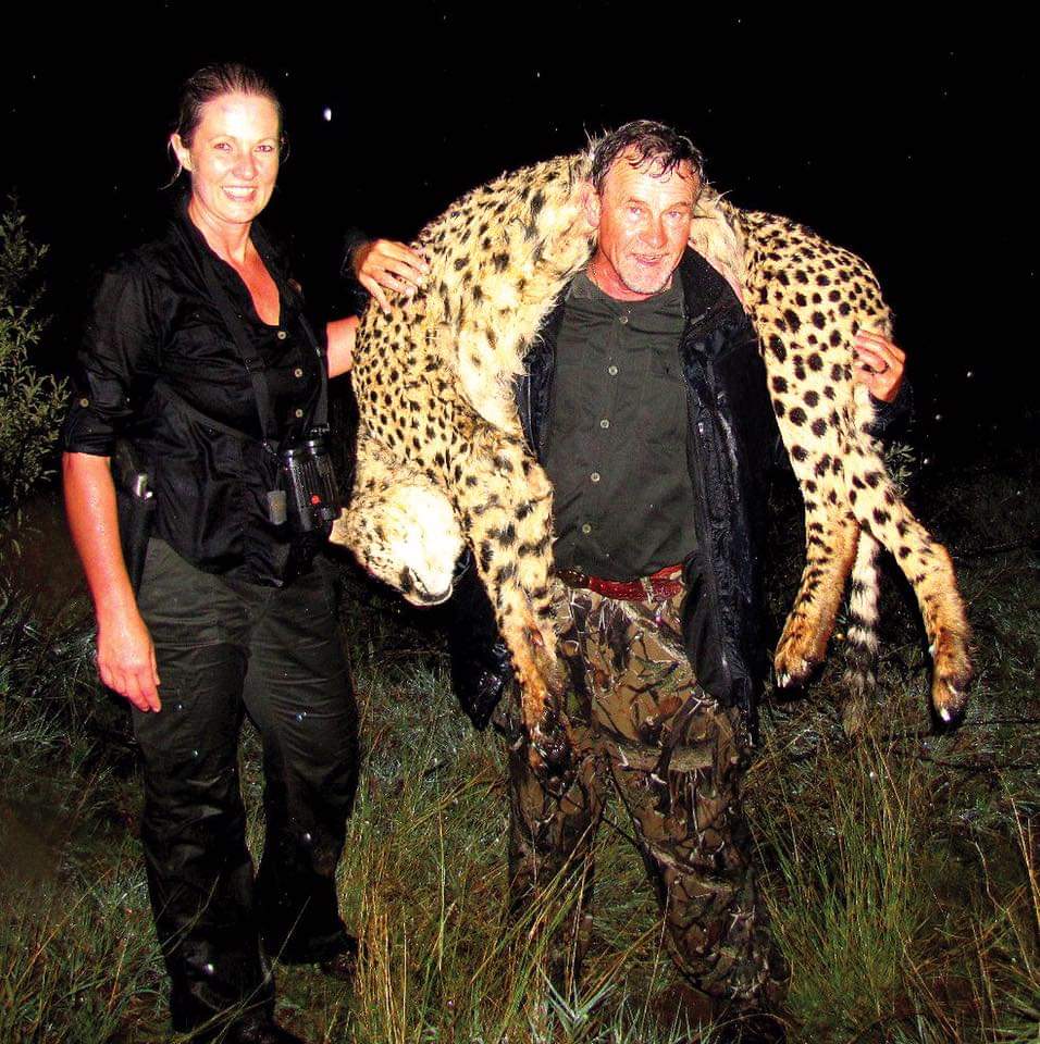 sanataniameric1's tweet image. Look at this pair of grinning, sadistic killers. With less than 7,000 Cheetahs left in the wild, The killing of these precious animals continues unabated. All so scum like this get their thrills and a rug! 007😒

#BanTrophyHunting 
#ExposeTrophyHunting 
Twitter @XposeTrophyHunt
