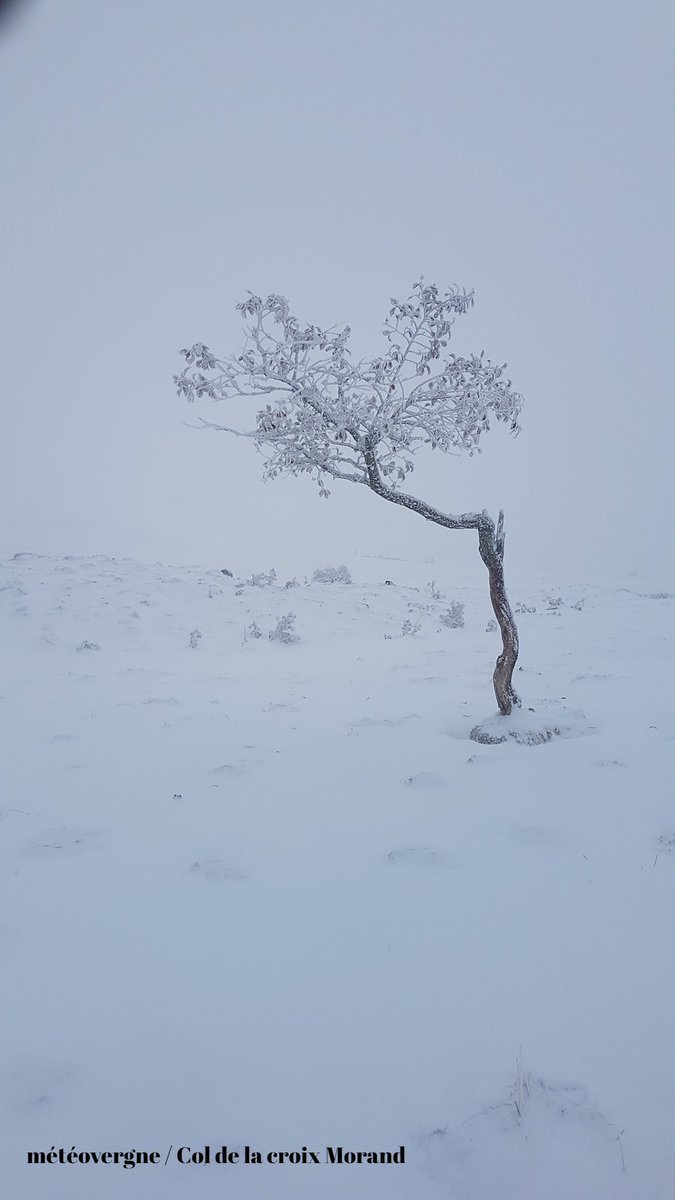 Auvergne's tweet photo. 🍂❄️ Automne ou hiver ? 🤔
Les 2 ensemble c'est pas mal non plus 😉
Merci aux courageux photographes pour leurs superbes photos ce week-end ! https://t.co/EiVwSsuPVp