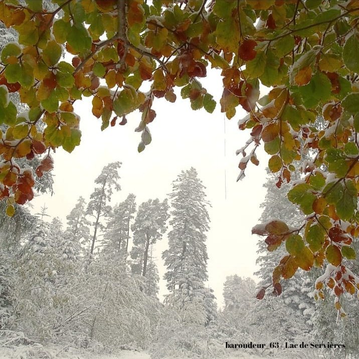 Auvergne's tweet photo. 🍂❄️ Automne ou hiver ? 🤔
Les 2 ensemble c'est pas mal non plus 😉
Merci aux courageux photographes pour leurs superbes photos ce week-end ! https://t.co/EiVwSsuPVp