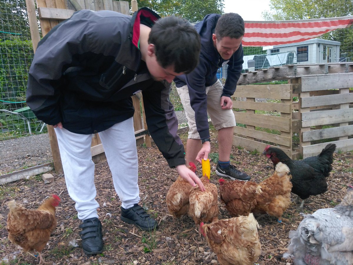 KarenBleay's tweet photo. A new care farm set up by @BefriendingSch charity at @EastonOtley near #Ipswich needs skilled volunteers to complete various jobs around the site. 
Can you/your employees help? 
@Jewson @BandQ @Wickes
@Screwfix @Homebase_uk https://t.co/SrJGUvCB7t