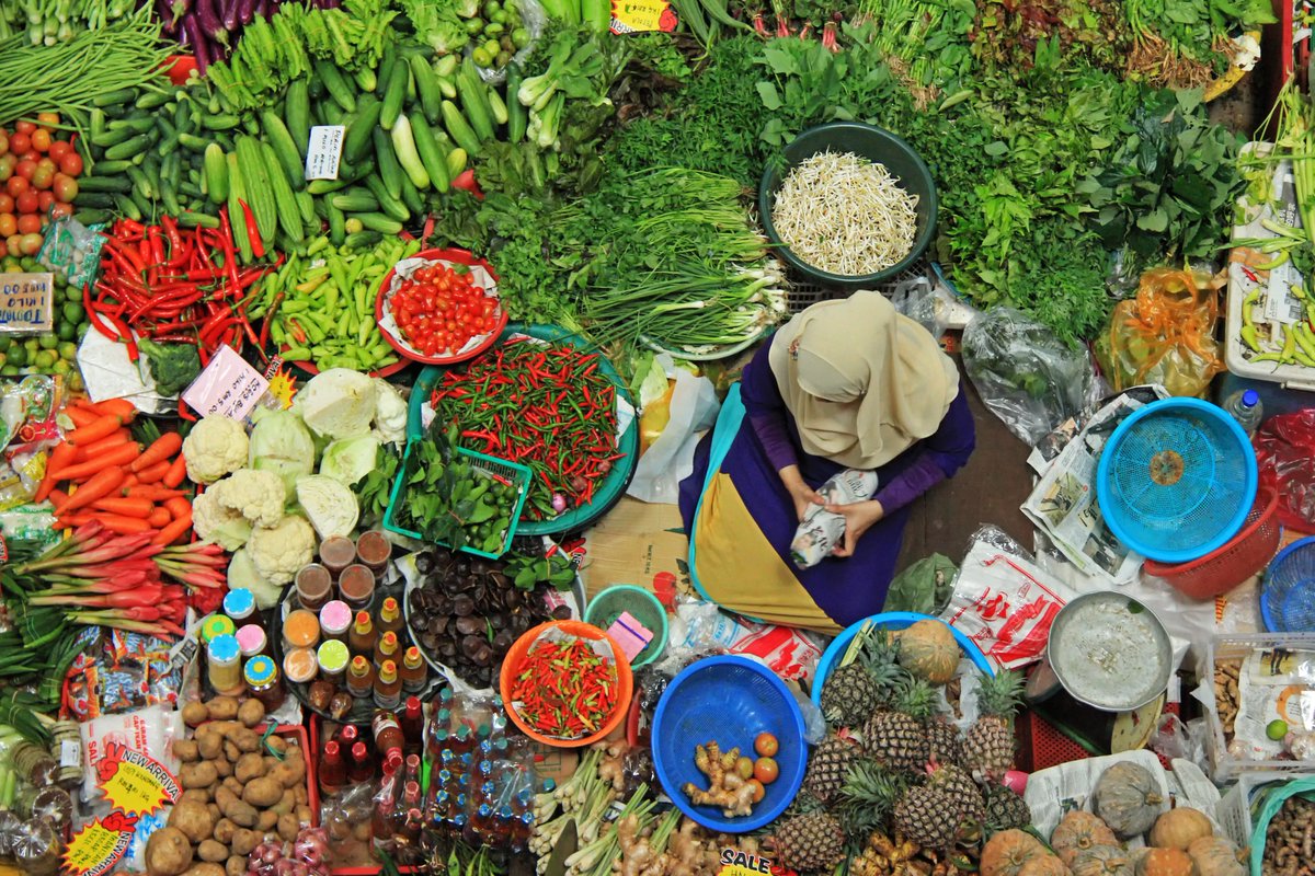FAOKnowledge's tweet photo. .@grazianodasilva opens the Global Parliamentary Summit against Hunger and Malnutrition: "The Right to Food is the right to adequate, healthy and sustainable food."

#ZeroHunger #SDG2 #CumbreHambreCero https://t.co/U8ctDkVNHx