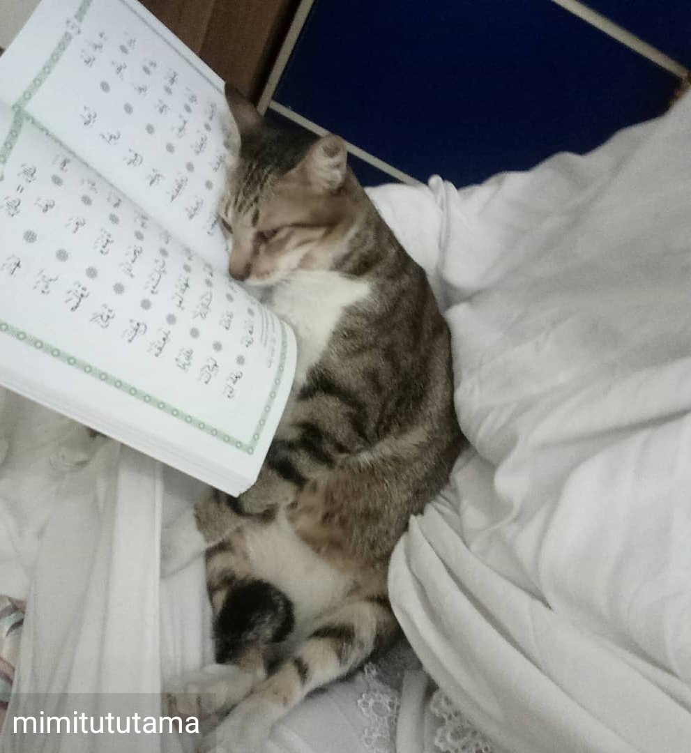ulat_bulu_bulu's tweet photo. Orang suruh ngaji dia terus tidur. Nanti dah besar main tiktok. https://t.co/c1ZZUSGthA