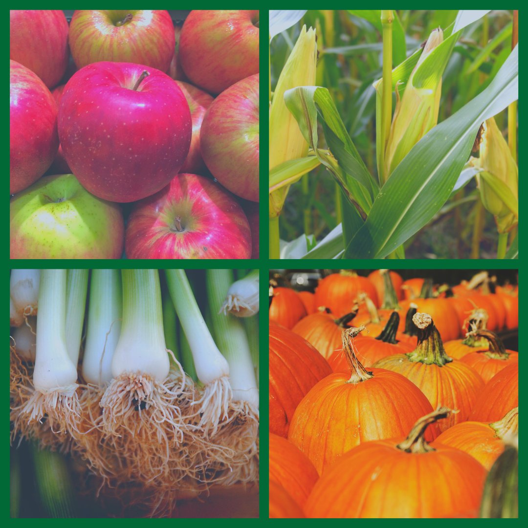 Eating with the seasons is great for your health and the environment. Find out which foods are in season this month with this handy list from <a href="/vegsoc/">Vegetarian Society</a> #MeatFreeMonday #HappyMonday ow.ly/UtgP30m0PtD