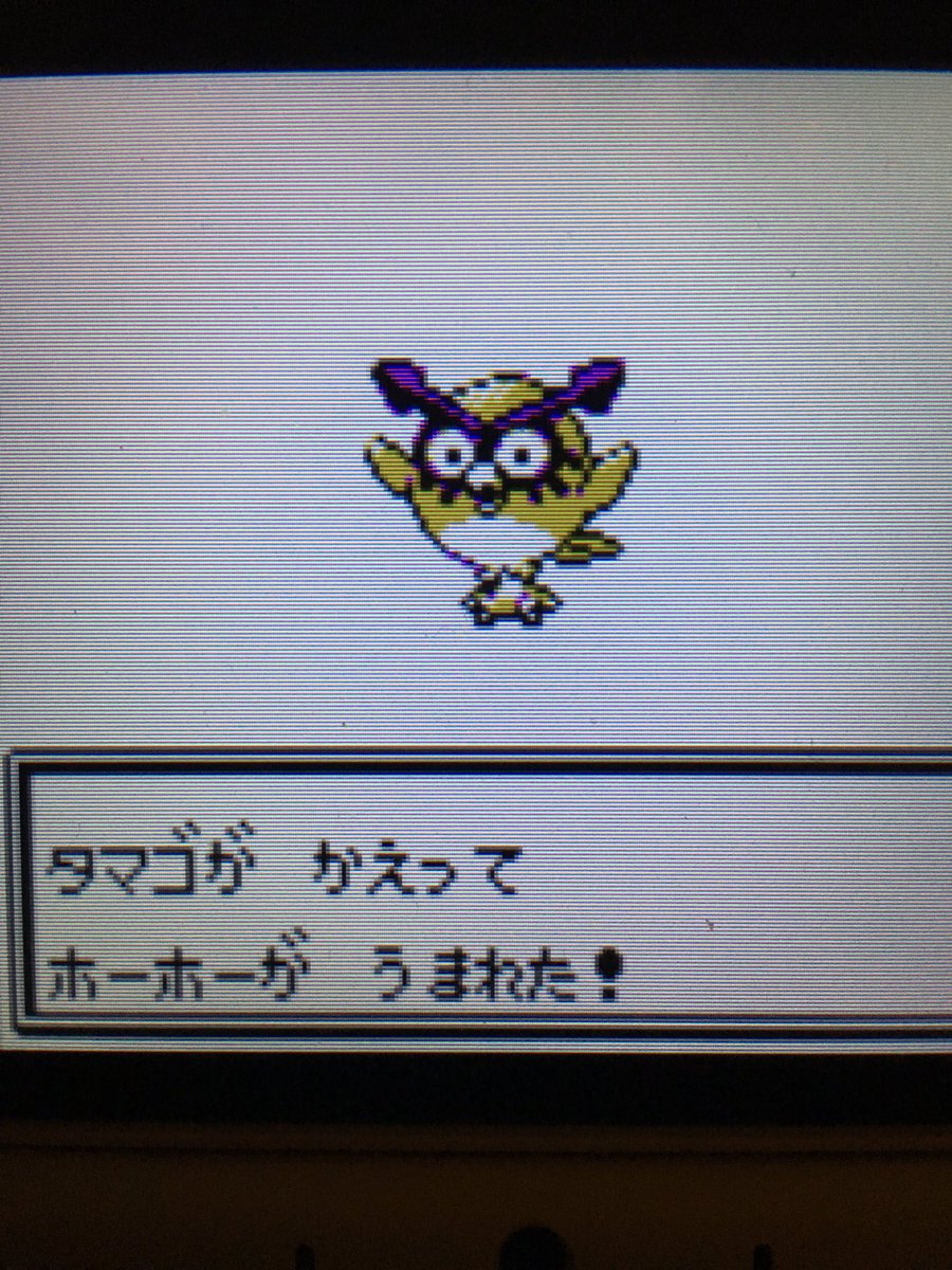 色違いポケモン紹介 Vc産ホーホー 自由に生きてあそblog