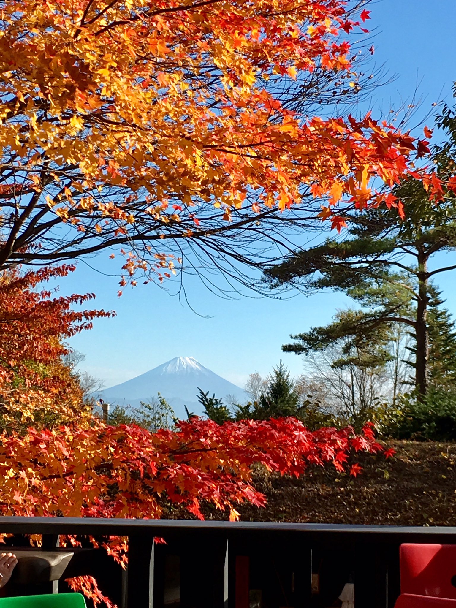 あゆん Jmc 今日は母が長年行きたいと言ってた清里 八ヶ岳の紅葉を観に来ました 最高のお天気で遠くの富士山もバッチリみえて 母リクエストの八ヶ岳倶楽部という所に来たら本物の柳生博さん 八ヶ岳倶楽部オーナー にも逢えました 清里 八ヶ岳