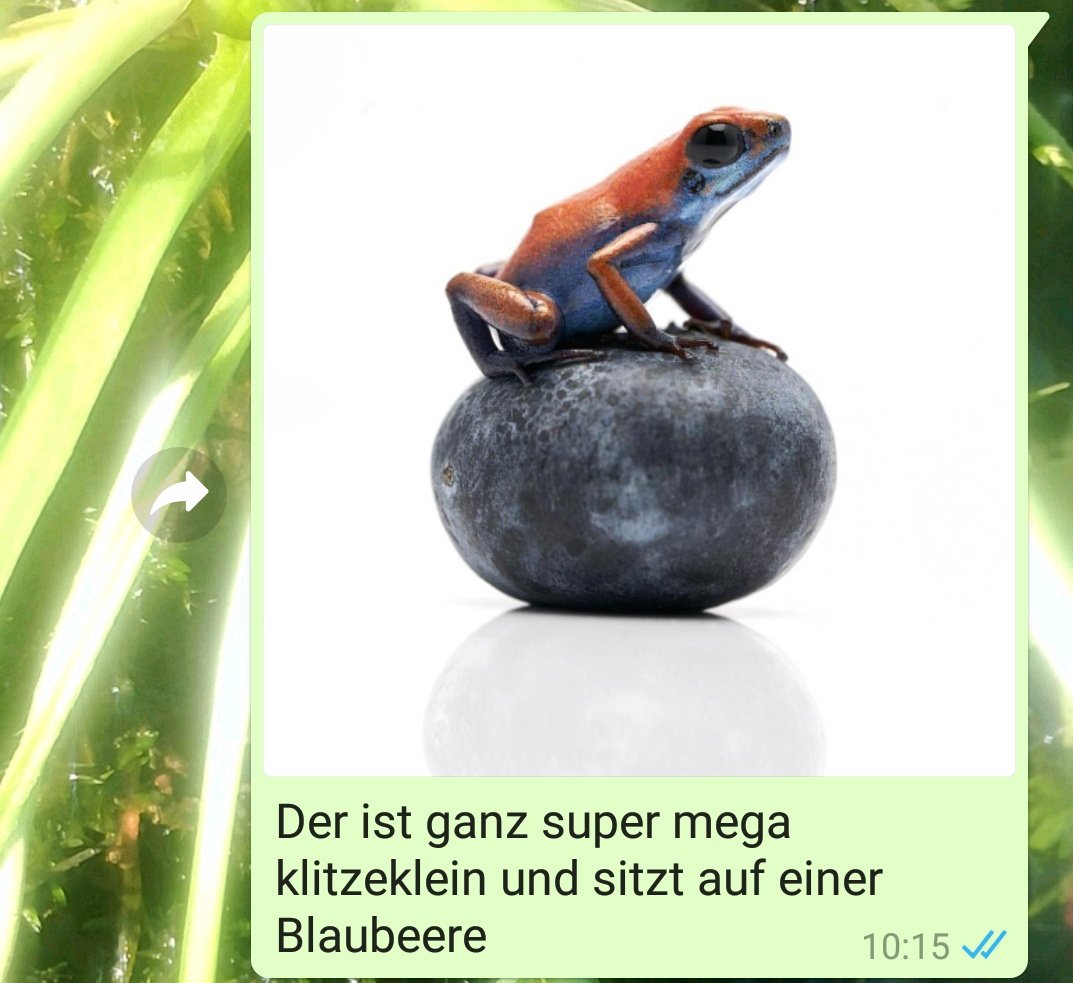 DasRuedi's tweet image. #Frogcontent