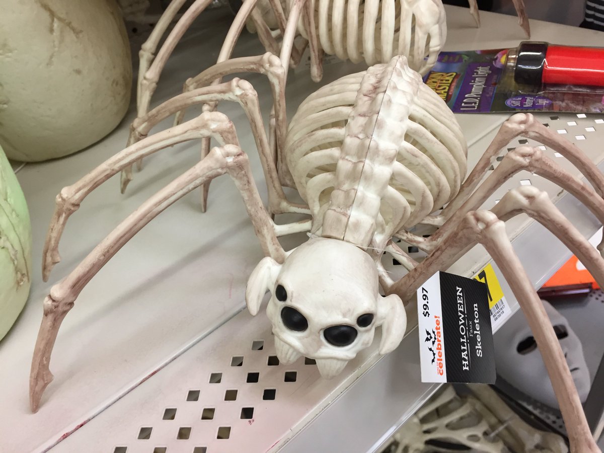 Daniel Arneman tweet media