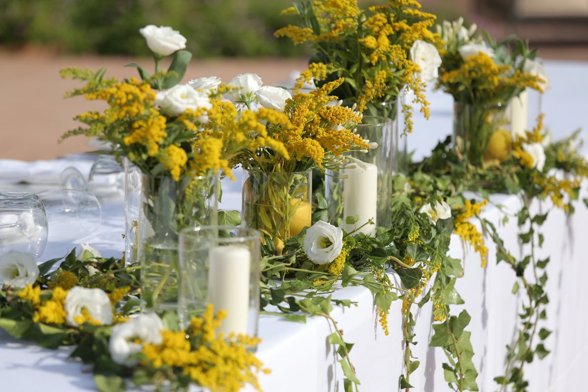 DanyWedding's tweet photo. Civi ceremony in Sicily in a beautiful location with Sicilian lemons. #wedding #lemons #weddingplannersinsicily #weddingday #sicily #experience #coordinator https://t.co/s8lF5fJCLi