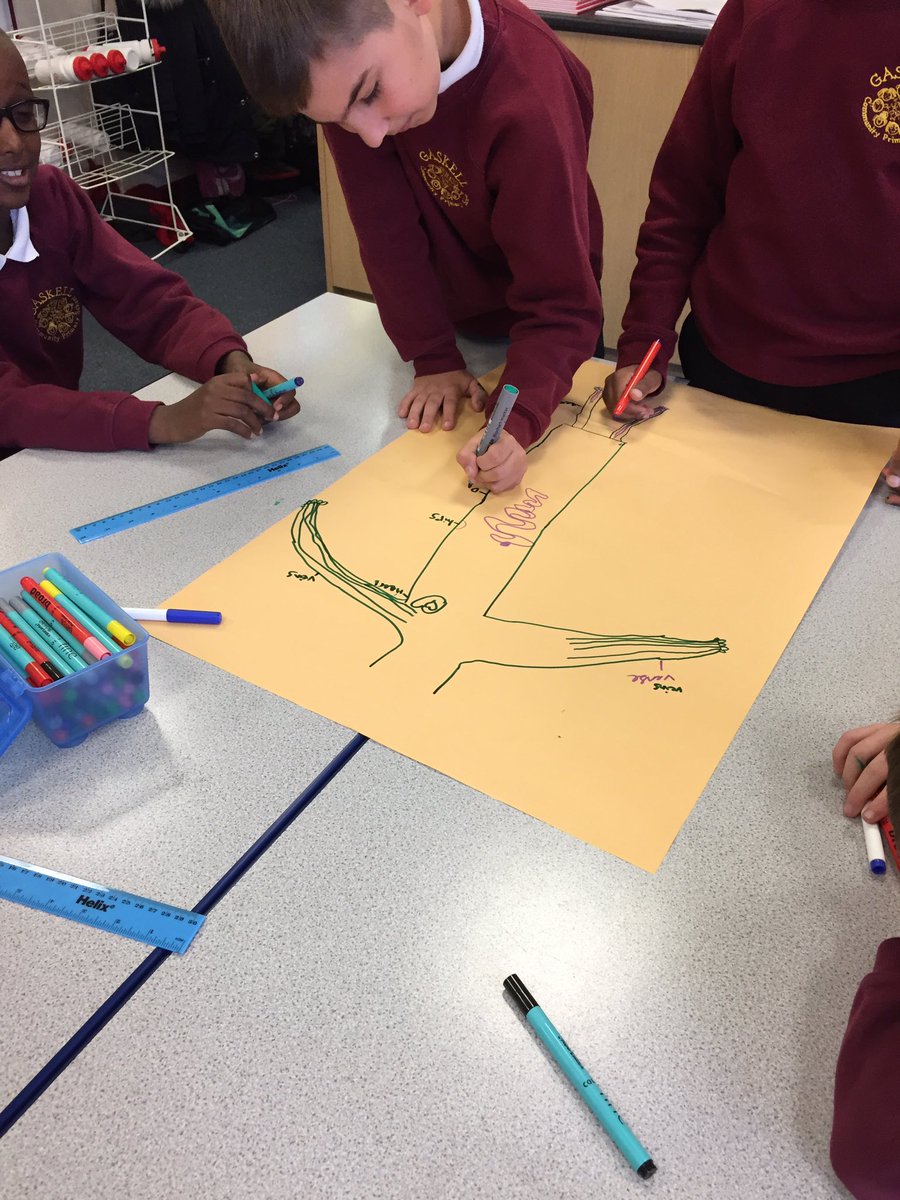 GaskellPrimary's tweet photo. What is inside our bodies ? Year 6 science #addressingmisconceptions https://t.co/3xFKJruwMi