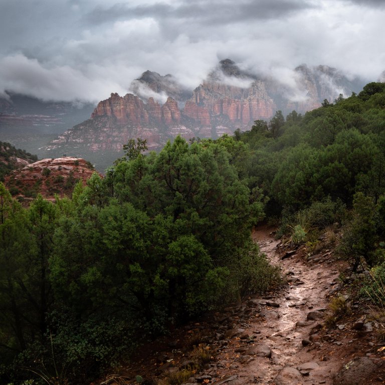 EarthAntidote's tweet photo. 📍 Arizona, USA https://t.co/fENZ7nw3MN