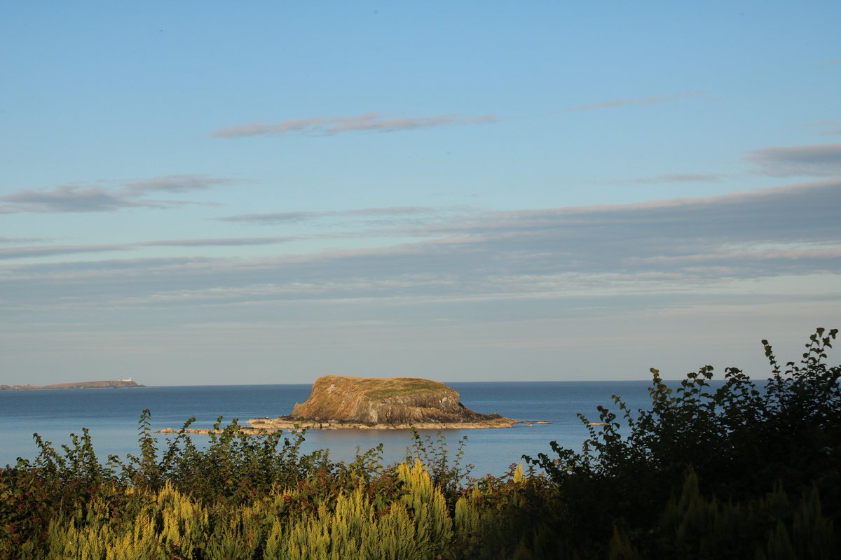 CODRISCO's tweet photo. #WildAtlanticWay #AdamIsland #RabbitIsland #stackofbeans https://t.co/CsRLLl1EDJ