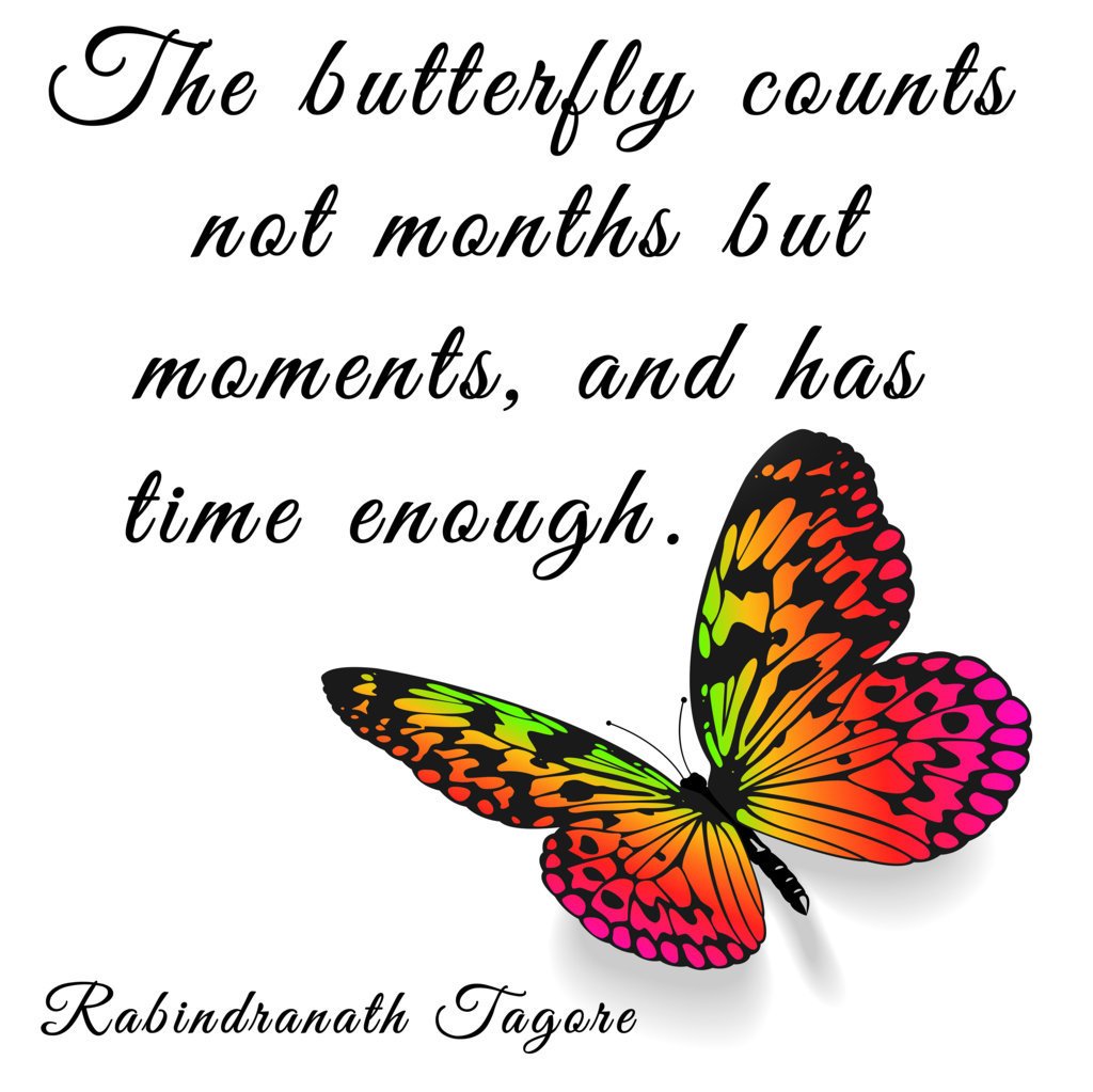 ComputerFixx's tweet image. 