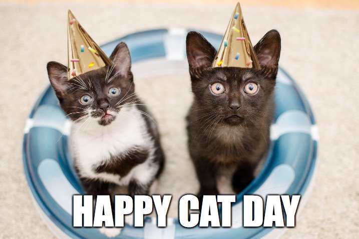 Cat_S_trophy's tweet photo. Happy International Cat Day!
Who is ready to celebrate with us? ๐๐บ
#NationalCatDay #VisibleRealms #Cats #gamedev #indiedev #VRgame #VRgaming #catgame #racing #oculusgo https://t.co/1HxMrQARne