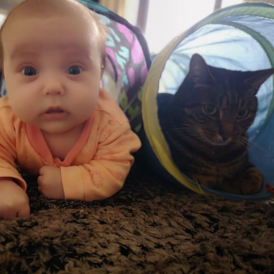 Macmillan In The Mix tweet media