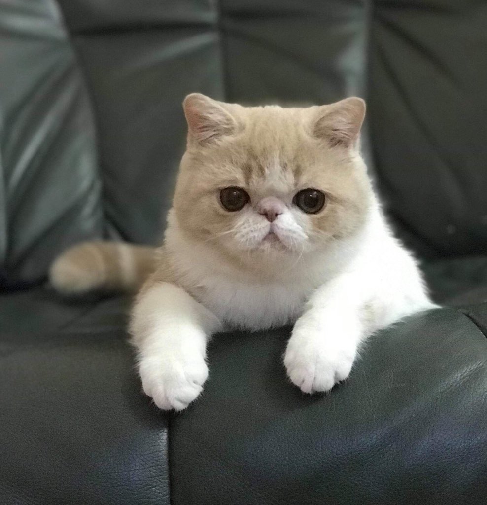 นพลัก tweet media