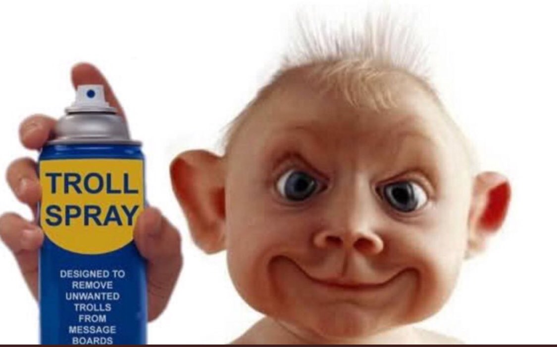 Shane Beal on Twitter "TomiLahren https//t.co/BXQcudb36v" / Twitter