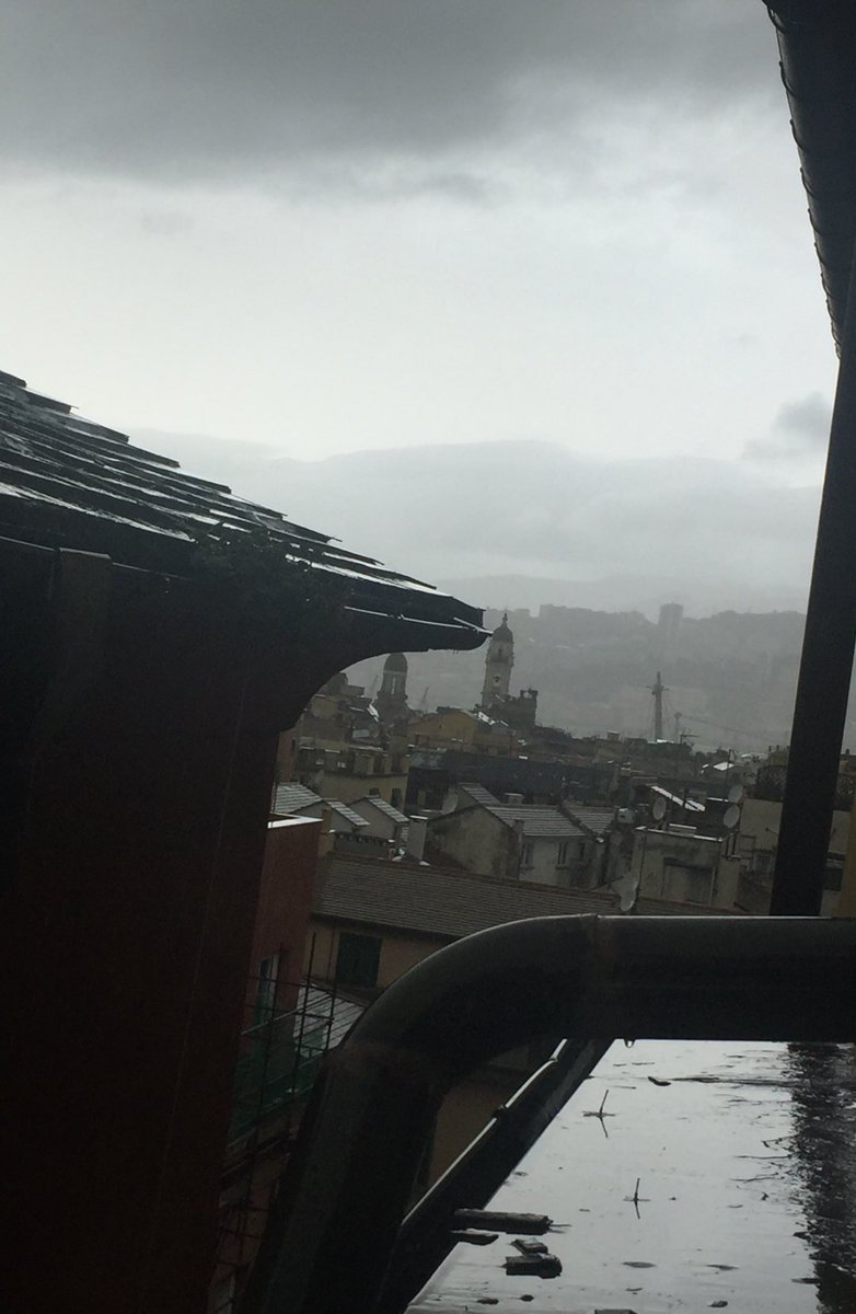 MadeleineM_Vln's tweet image. Genning up on #Paganini @MusicMagazine here in his birthplace #Genova before my violin class for Conservatorio students and @TELMI_Project presentation at the Festival Scienza @FDellaScienza in Casa Paganini @cpinfomus but at present holed up with diabolical weather! #devil