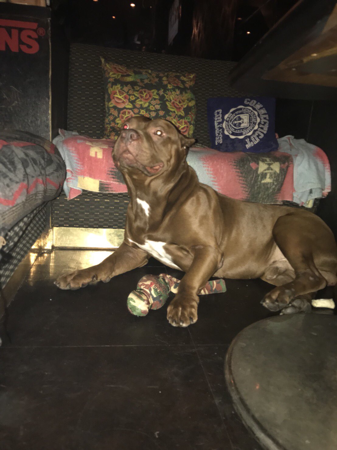 さっくん 新宿アゲ番長 今週も元気にアゲアゲ で 元気に気合いでアゲ番長を超絶営業中 俺のtwitter見た で 一杯目をドリンクサービスします 新宿 歌舞伎町 アゲ アゲアゲ アゲ番長 カリメロ 求人 求人募集 時給要相談