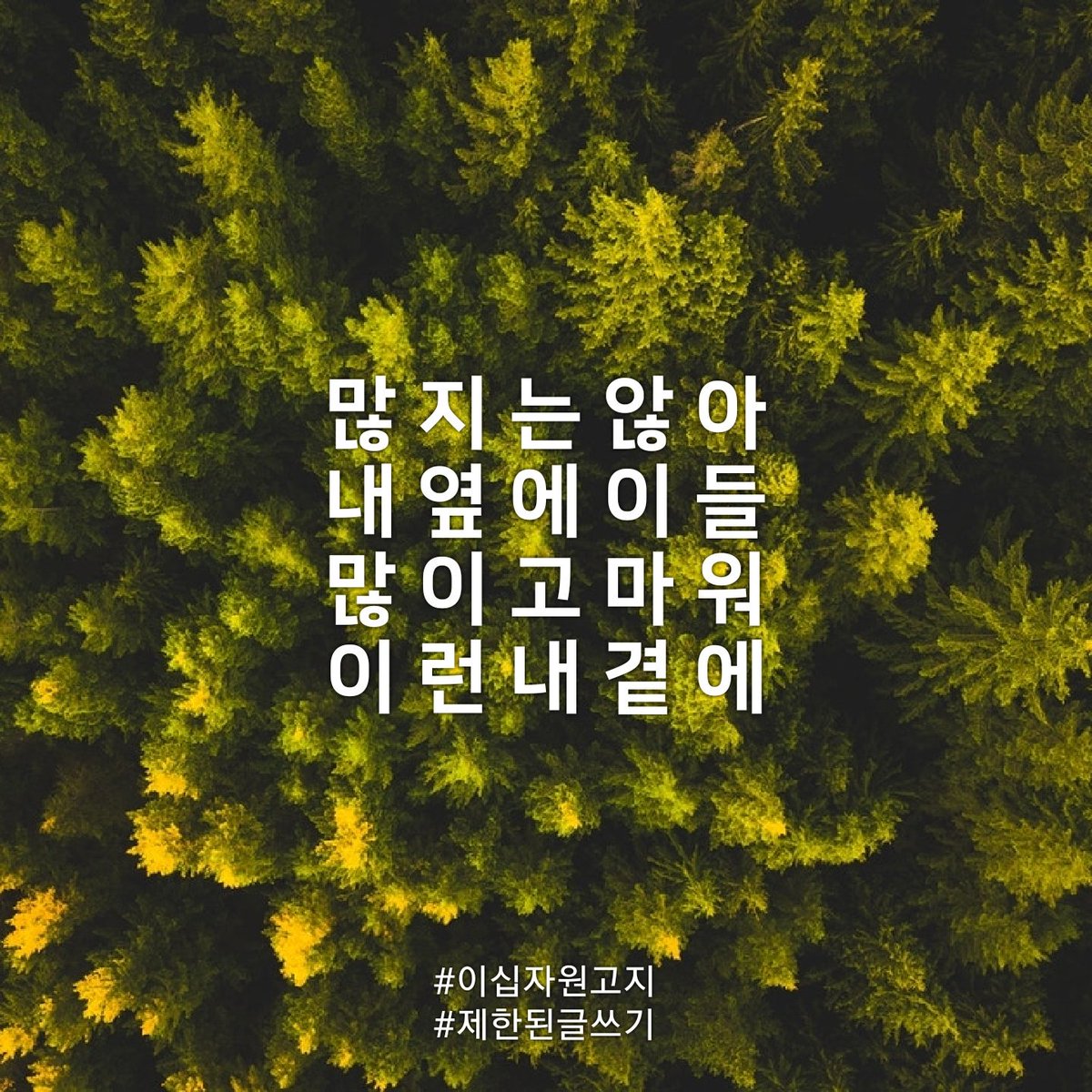 난 고 작 이 런 데 말 야

#이십자원고지 
#제한된글쓰기