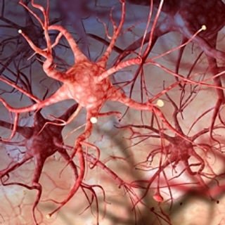 HealthPlatform2's tweet image. WHAT IS NEUROFIBROMATOSIS?
healthplatform123.blogspot.com/2018/10/is-neu…